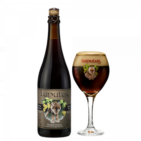 Speciaalbier Lupulus Bruin met ingeschonken Lupulus bierglas